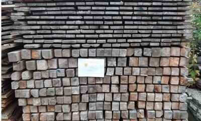 9,035 metri cubi de cherestea